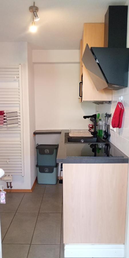 Ferienwohnung In Grenzach Екстериор снимка