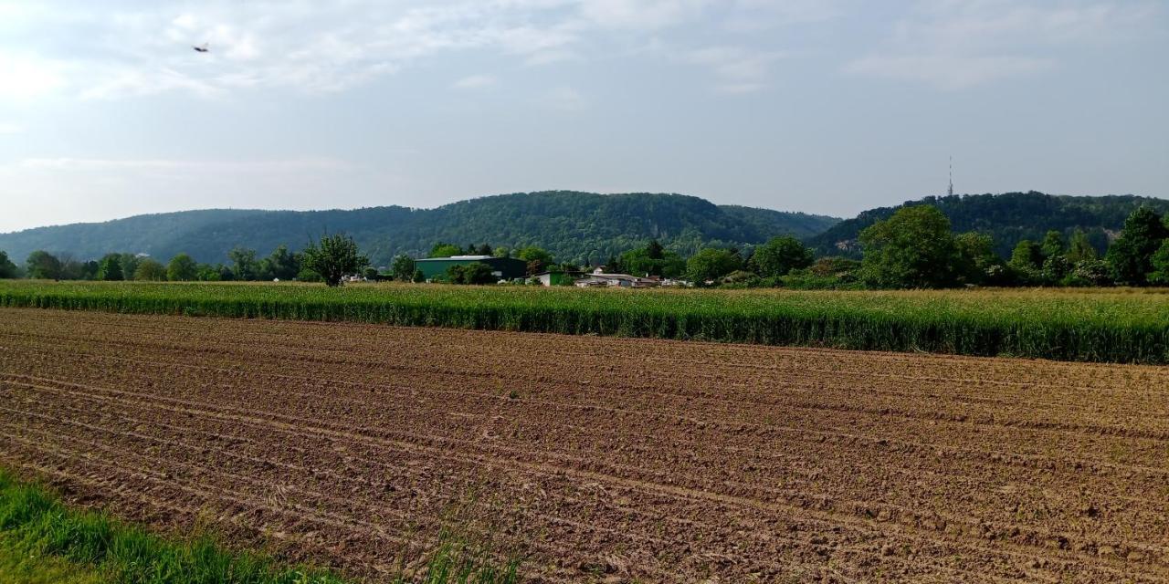 Ferienwohnung In Grenzach Екстериор снимка