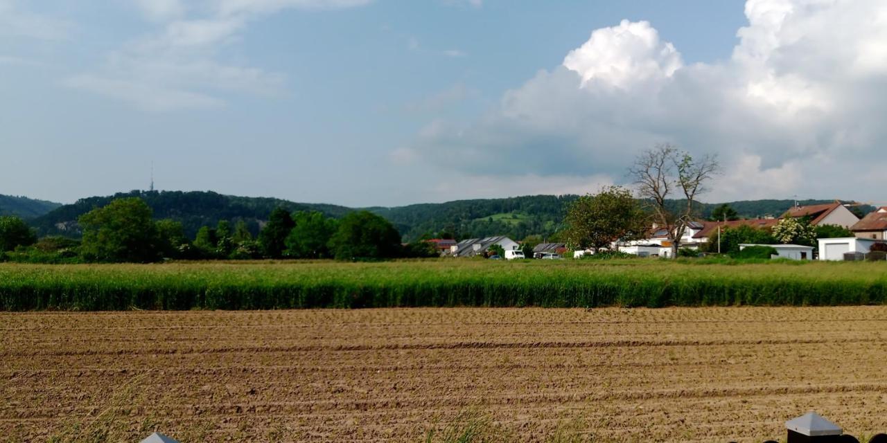 Ferienwohnung In Grenzach Екстериор снимка